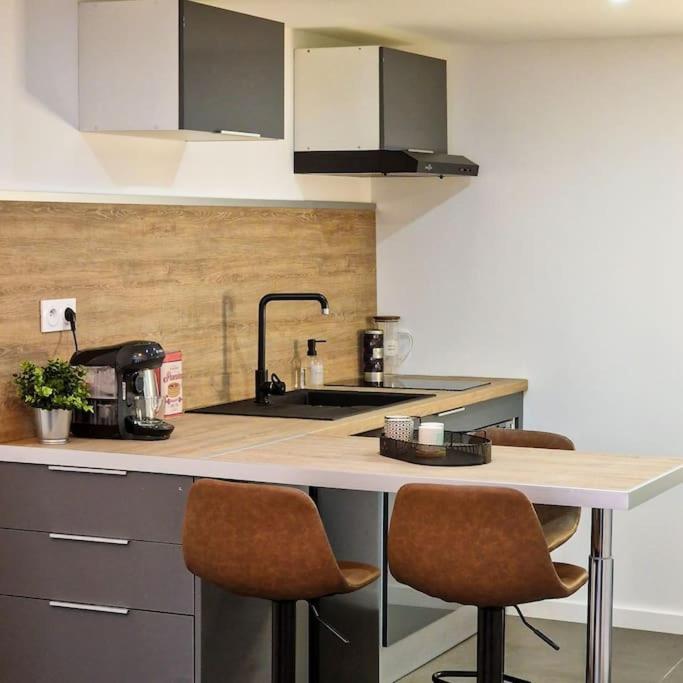 Grand Loft Avec Terrasse Privee Apartment Saint-Etienne  Ngoại thất bức ảnh
